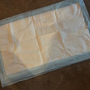 Case of Disposable Light Blue and White Absorbent Home Pad. 150 count